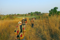 WALKING TO FARM