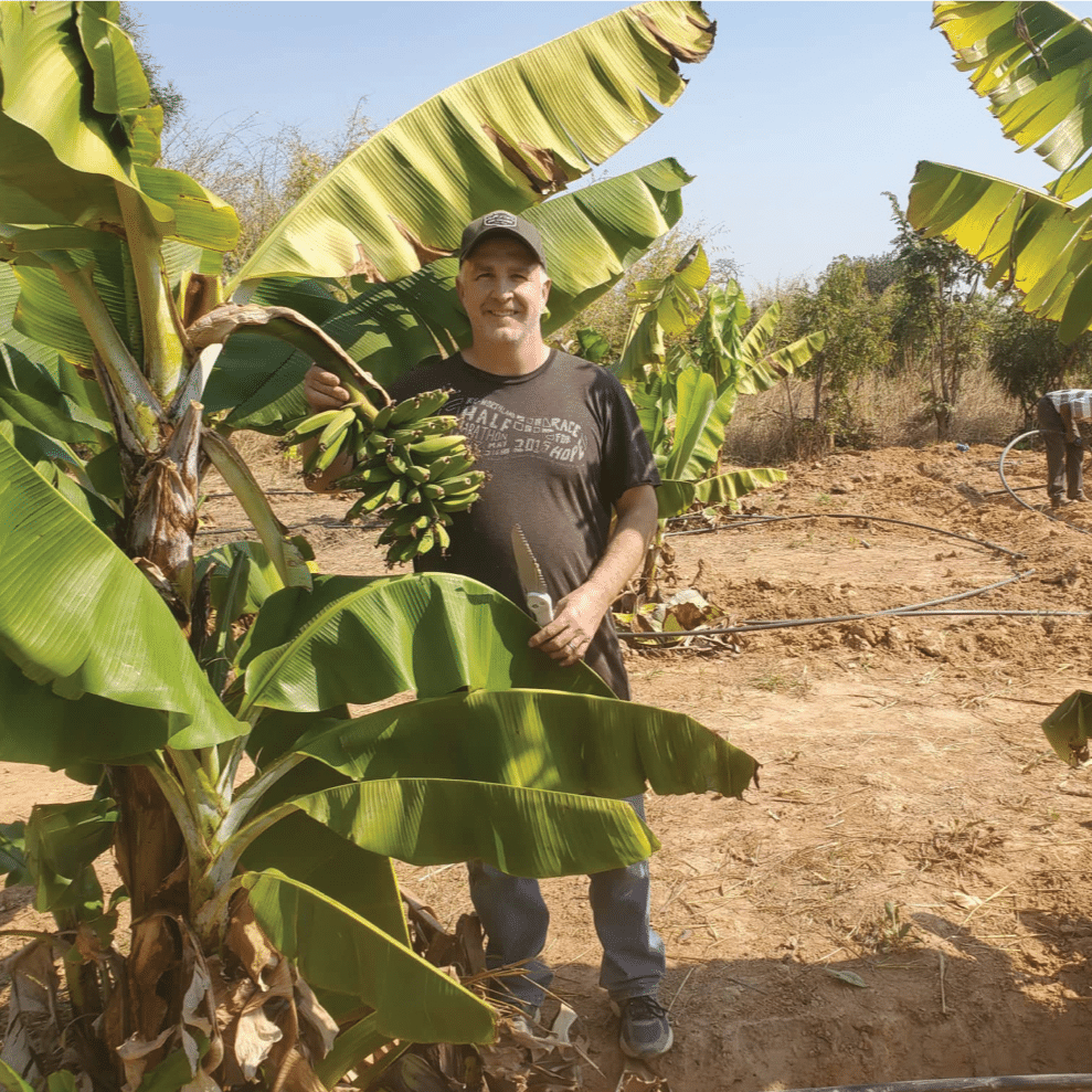 sustainability-farming